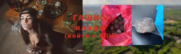 эйфоретик Тайга